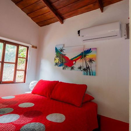 Selva Color - Forest & Beach Ecolodge Quebrada Ganado Стая снимка