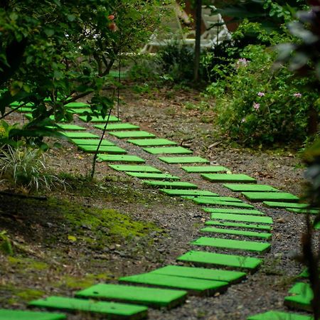 Selva Color - Forest & Beach Ecolodge Quebrada Ganado Екстериор снимка
