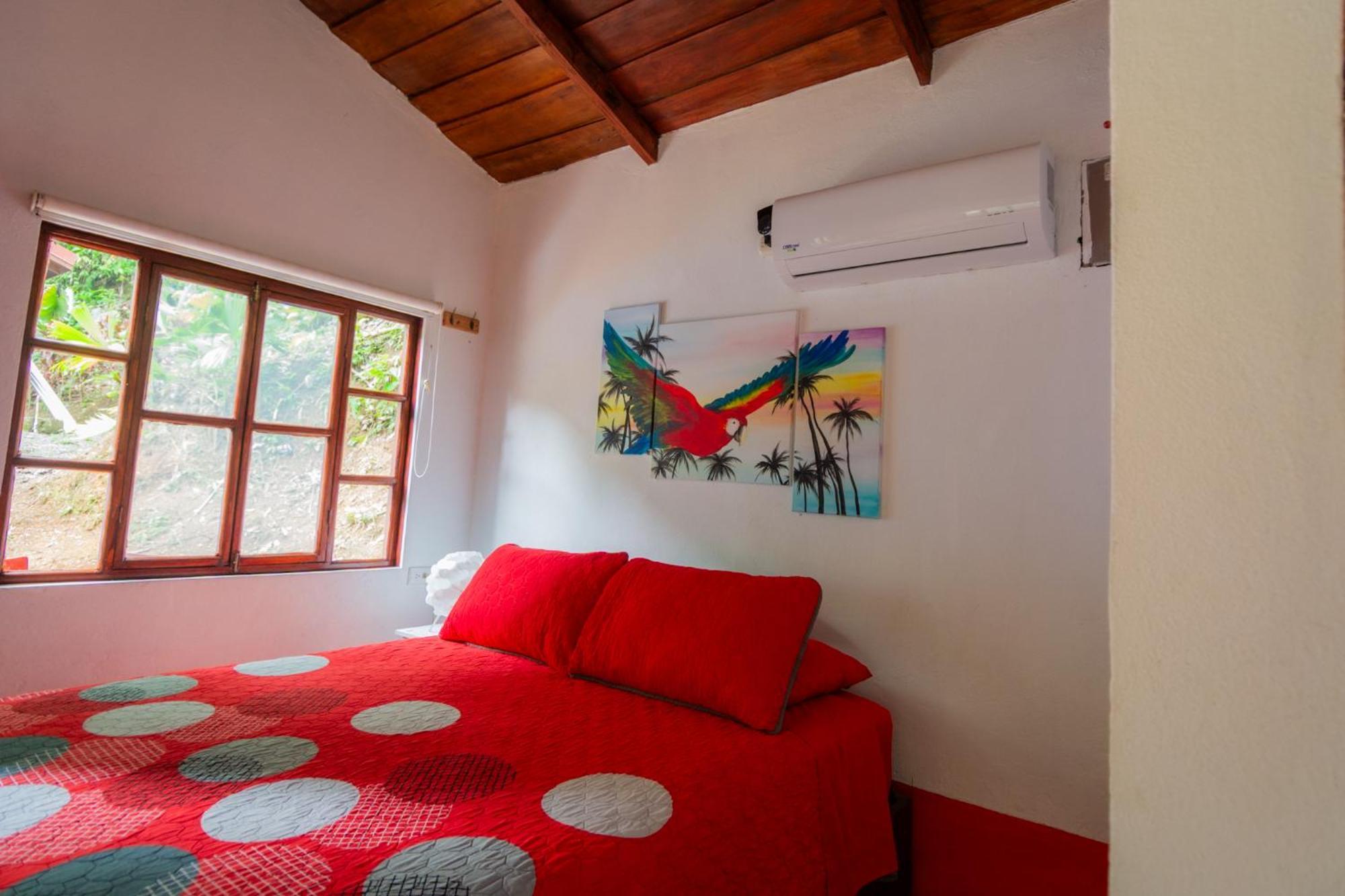 Selva Color - Forest & Beach Ecolodge Quebrada Ganado Стая снимка