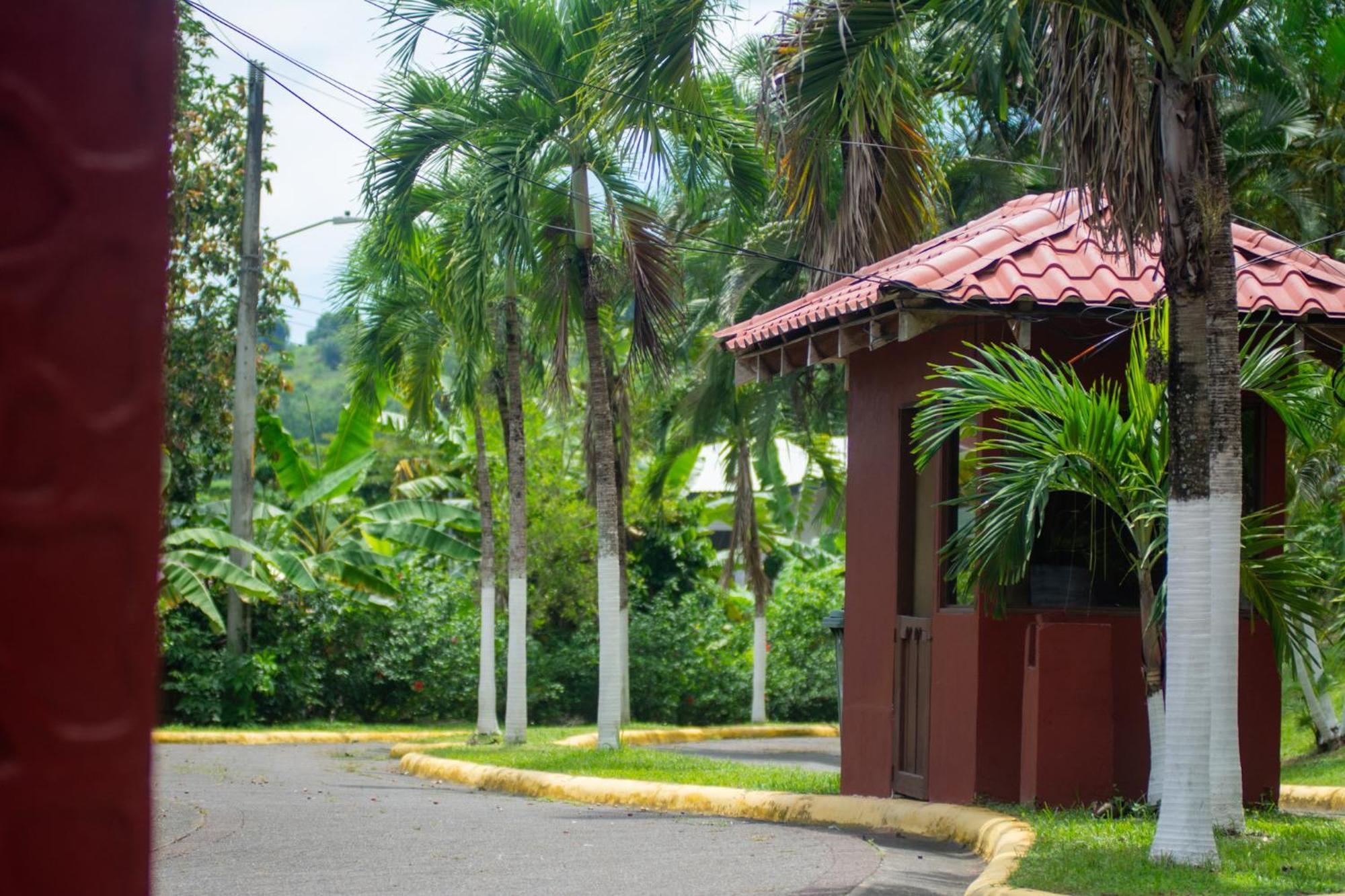 Selva Color - Forest & Beach Ecolodge Quebrada Ganado Екстериор снимка