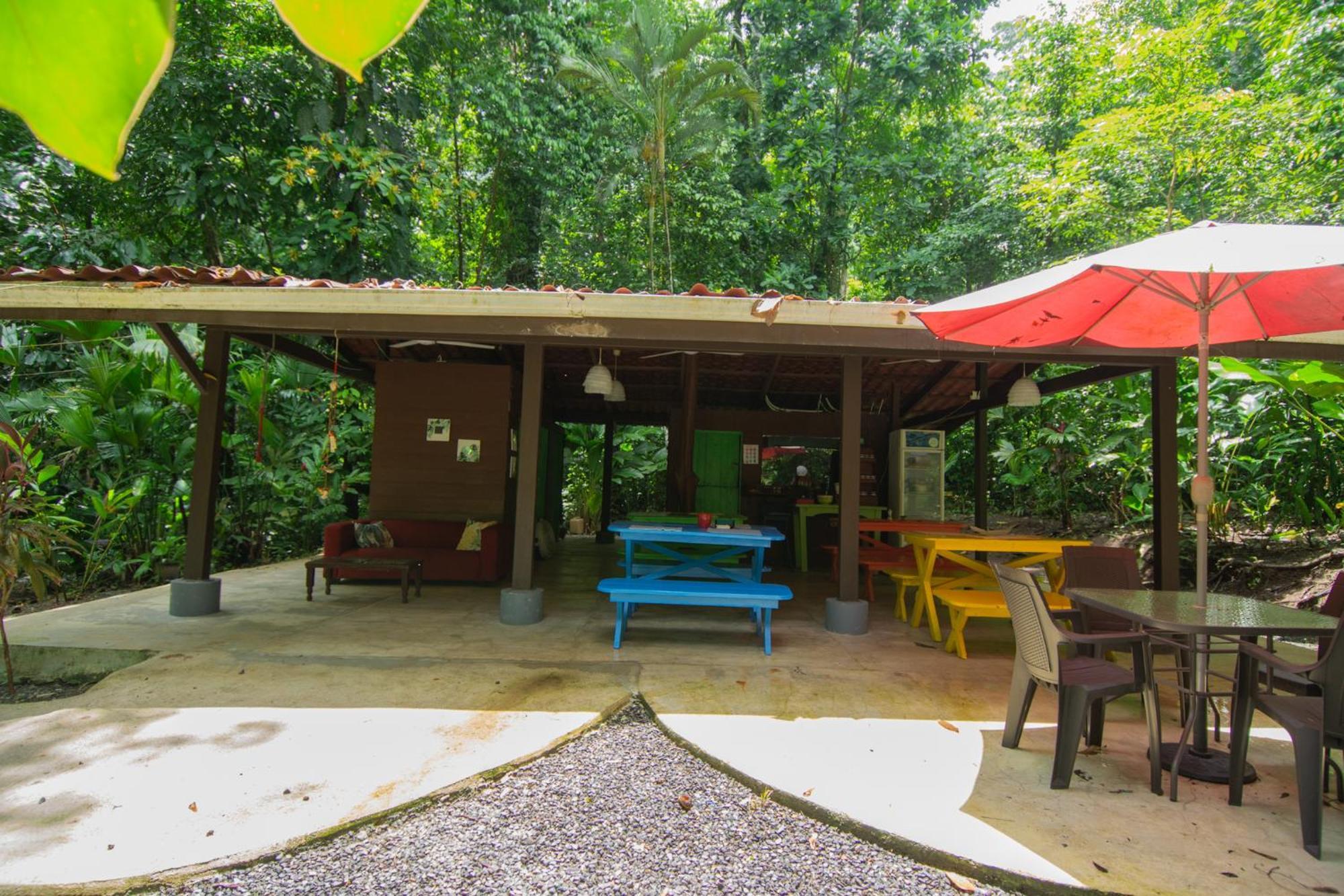 Selva Color - Forest & Beach Ecolodge Quebrada Ganado Екстериор снимка