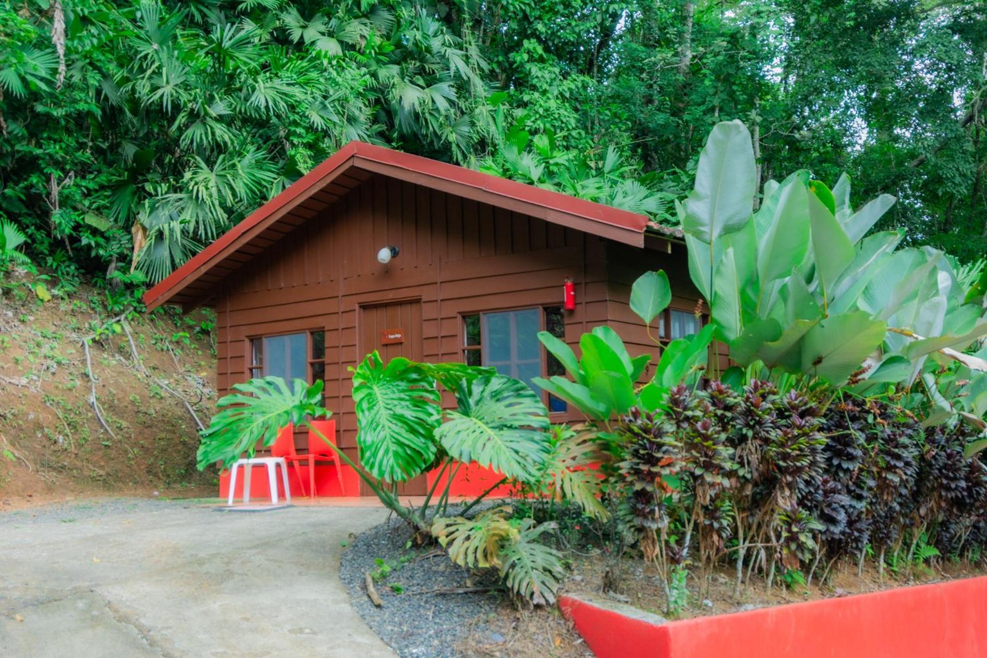 Selva Color - Forest & Beach Ecolodge Quebrada Ganado Екстериор снимка