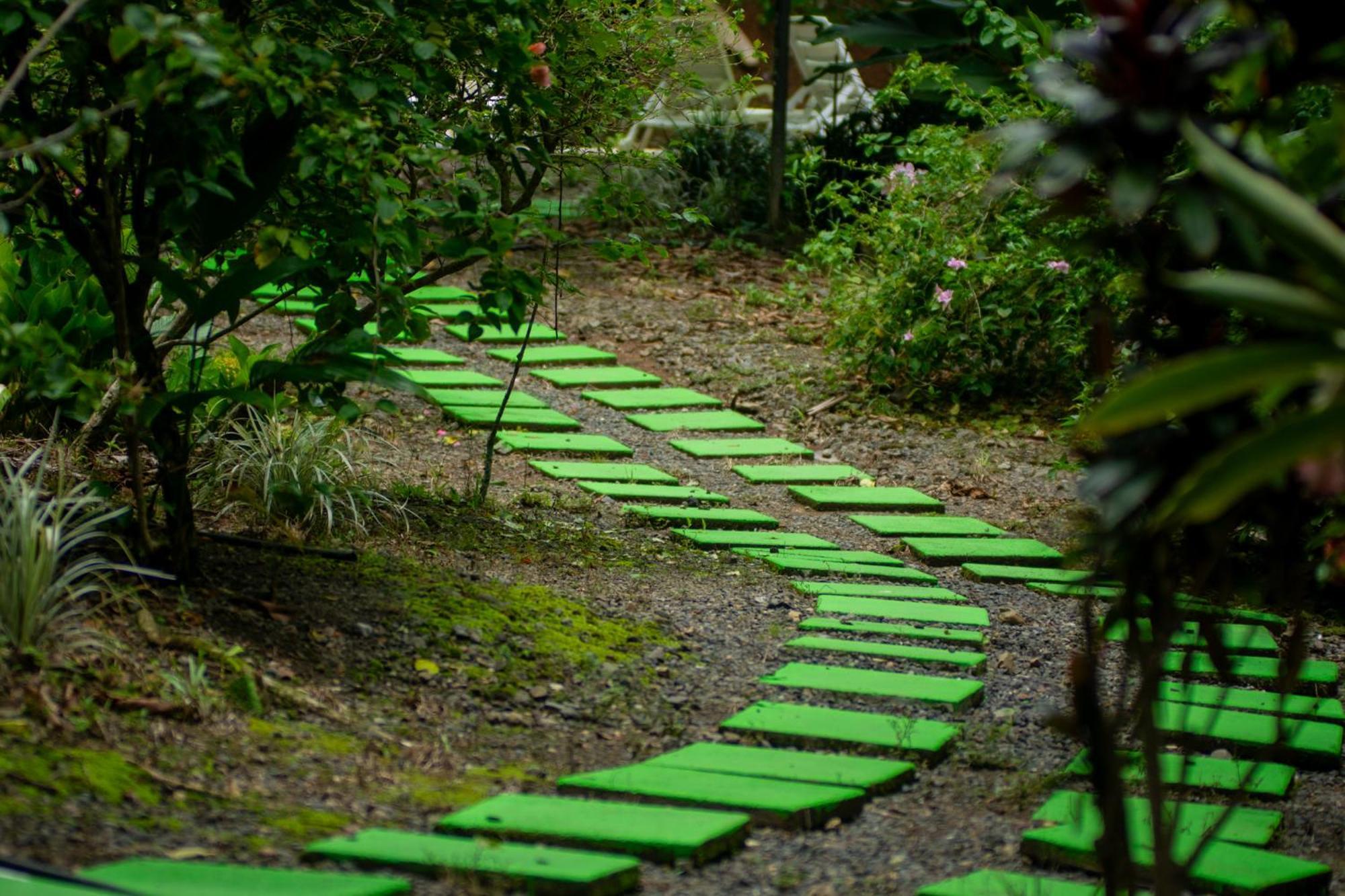 Selva Color - Forest & Beach Ecolodge Quebrada Ganado Екстериор снимка