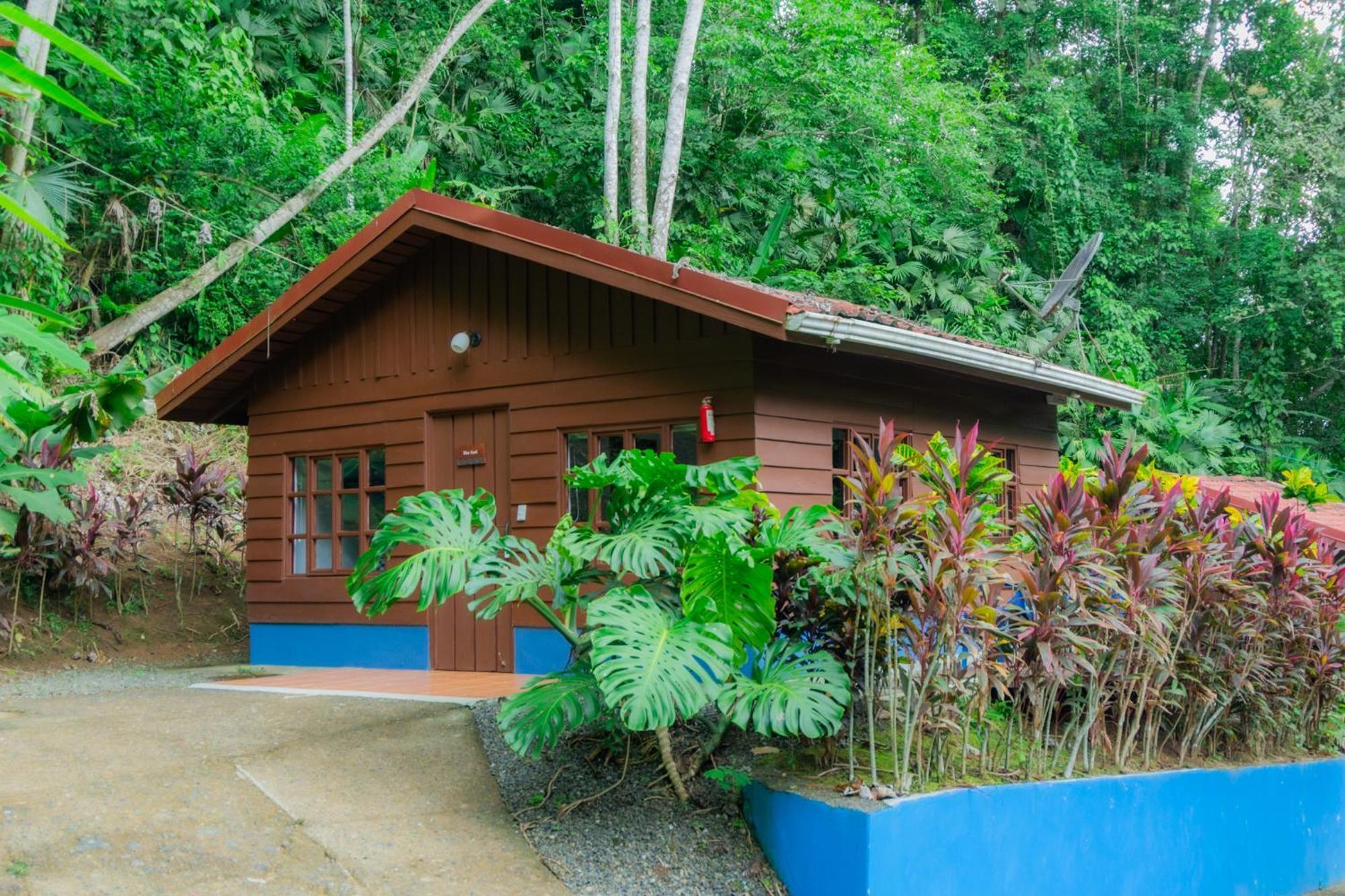 Selva Color - Forest & Beach Ecolodge Quebrada Ganado Екстериор снимка