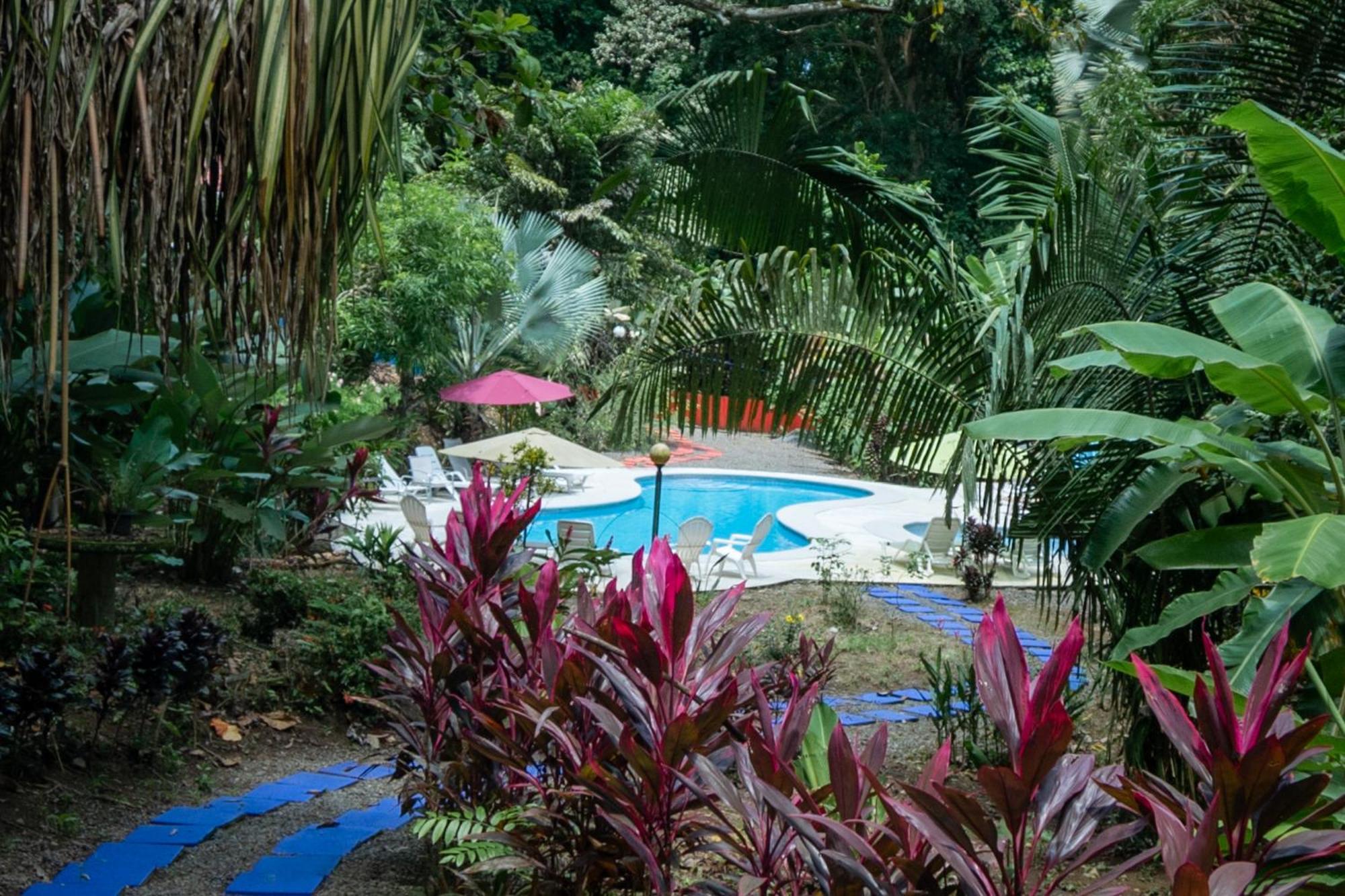 Selva Color - Forest & Beach Ecolodge Quebrada Ganado Екстериор снимка