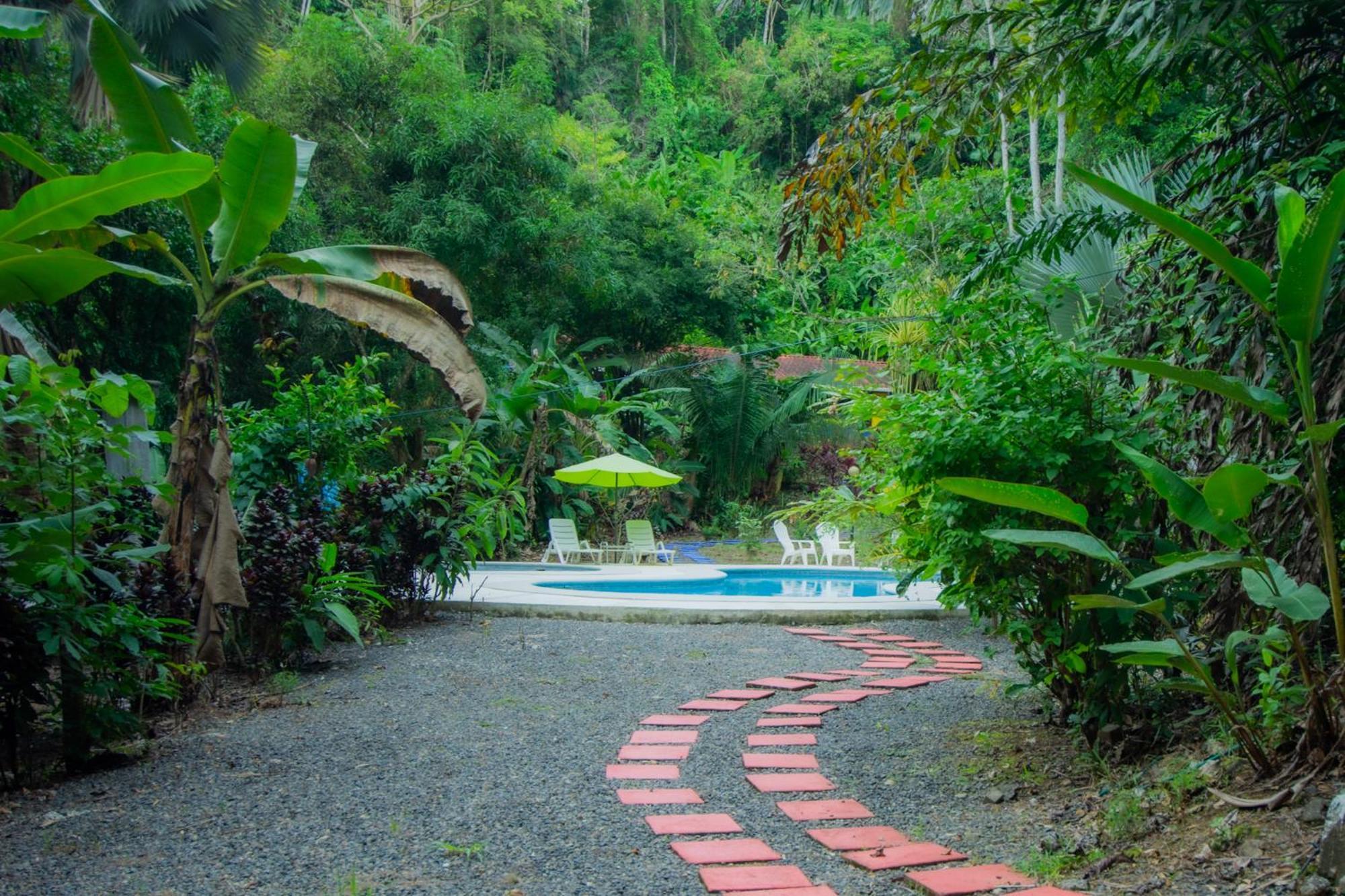 Selva Color - Forest & Beach Ecolodge Quebrada Ganado Екстериор снимка