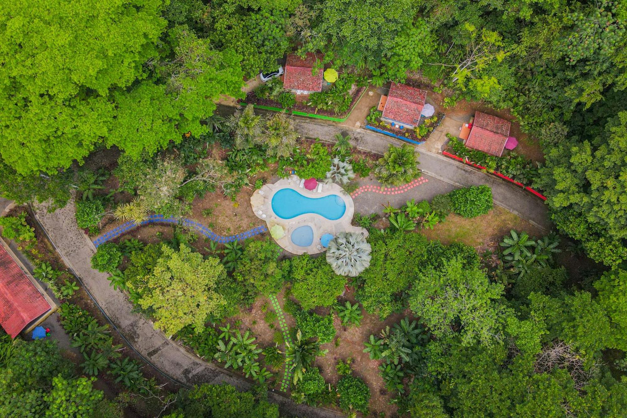 Selva Color - Forest & Beach Ecolodge Quebrada Ganado Екстериор снимка