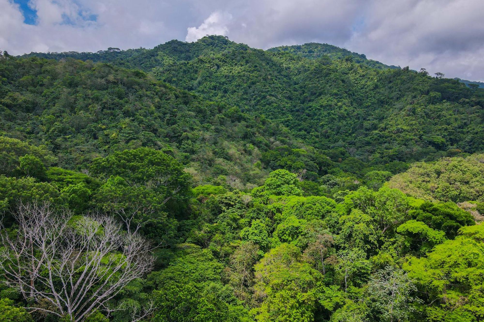 Selva Color - Forest & Beach Ecolodge Quebrada Ganado Екстериор снимка