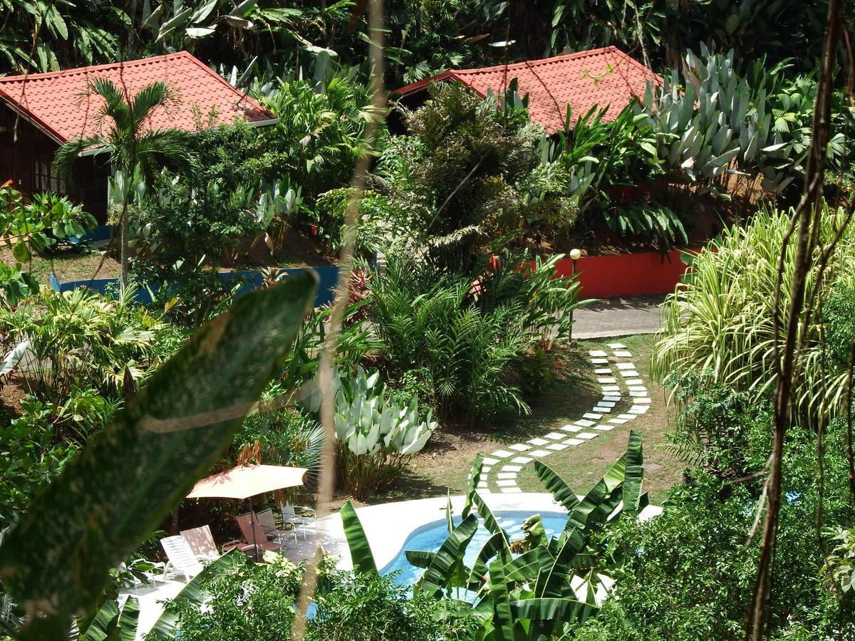 Selva Color - Forest & Beach Ecolodge Quebrada Ganado Екстериор снимка