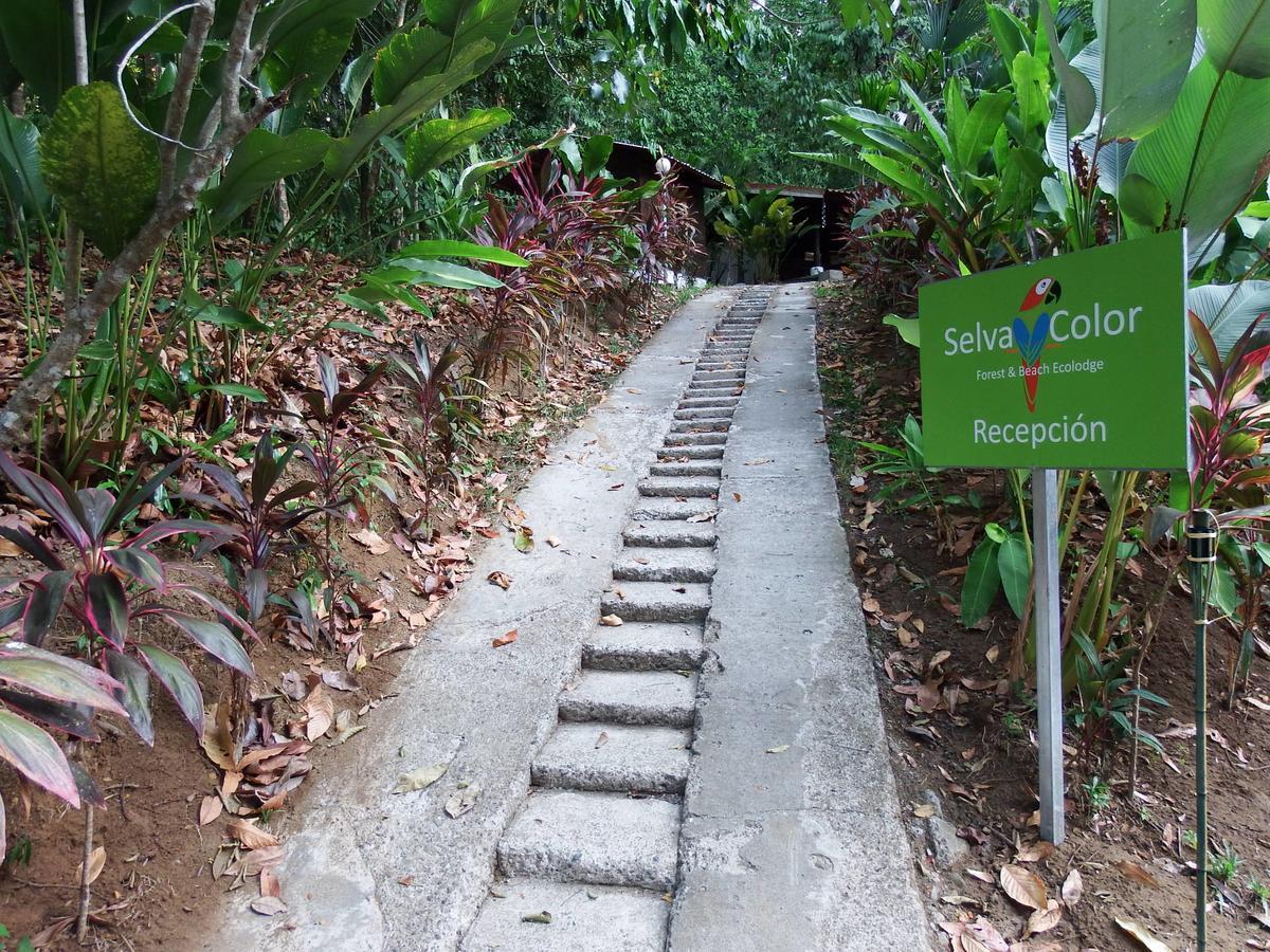Selva Color - Forest & Beach Ecolodge Quebrada Ganado Екстериор снимка