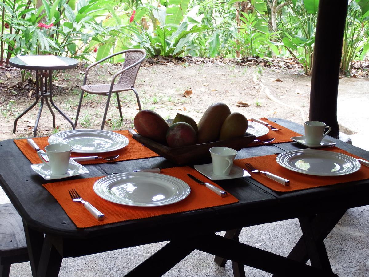 Selva Color - Forest & Beach Ecolodge Quebrada Ganado Екстериор снимка