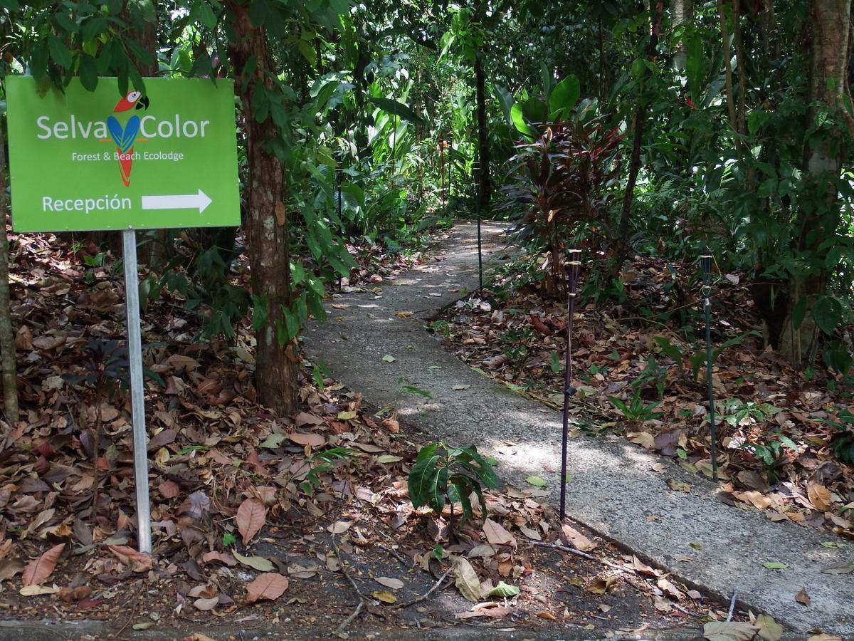Selva Color - Forest & Beach Ecolodge Quebrada Ganado Екстериор снимка