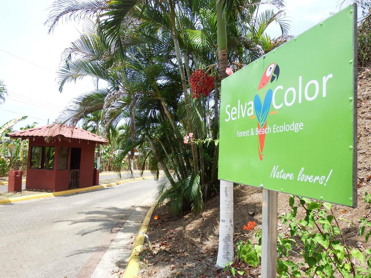 Selva Color - Forest & Beach Ecolodge Quebrada Ganado Екстериор снимка